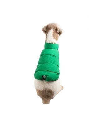 Bright Green Puffer Coat for Dogs - Plush Insulated Jacket